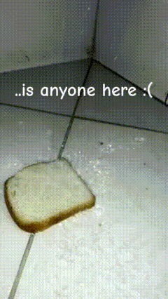 a piece of bread on the floor with the words is anyone here
