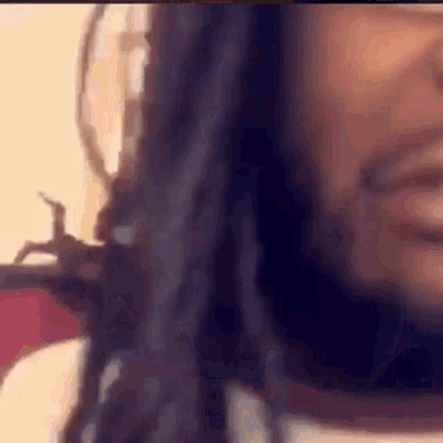 a close up of a person 's face with dreadlocks and a spider on their hair .