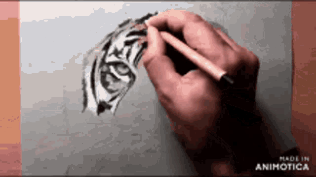 a person is drawing a tiger 's head with a pencil