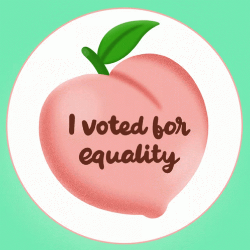 I Voted For Equality Vote GIF - I Voted For Equality I Voted Vote GIFs