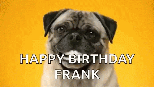 Happy Birthday Frank Pug GIF - Happy Birthday Frank Pug Smile GIFs