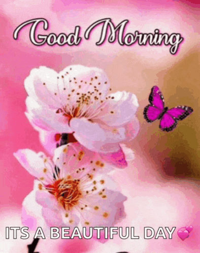 a butterfly is flying over a pink flower with the words good morning it 's a beautiful day below it