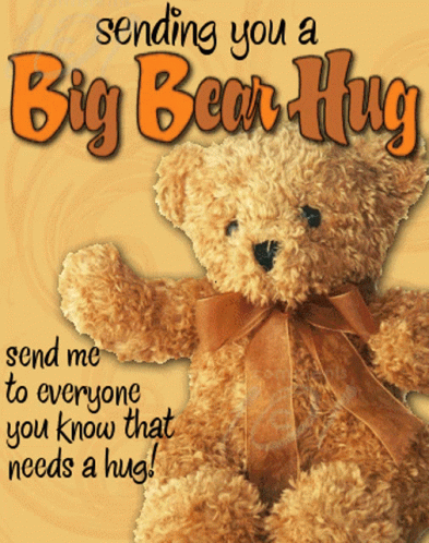Big Bear Hug Big Hug GIF