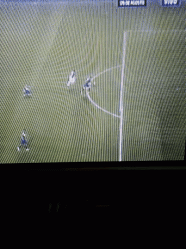 a soccer game is being played on a television