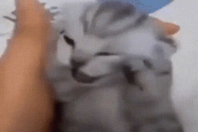 a close up of a person 's hand holding a bottle of lotion .