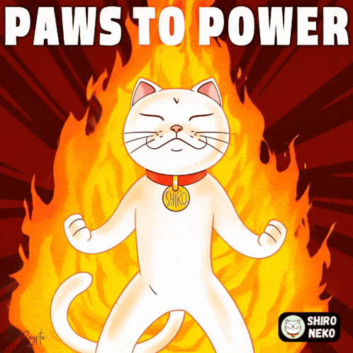a cartoon of a white cat with the words paws to power written above it