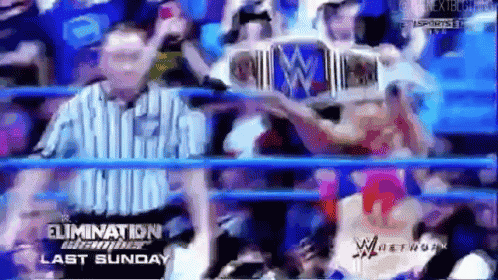 a wrestling match is being shown on sunday