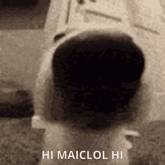 a black and white image with the words hi maiclol hi