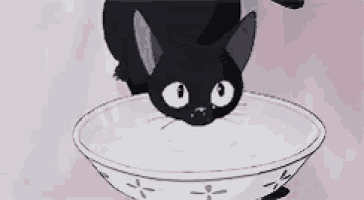 a black cat is sitting on top of a white bowl .
