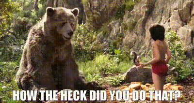 The Jungle Book Baloo GIF - The Jungle Book Baloo How The Heck Did You Do That GIFs