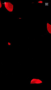 a red flower with the words " omrum omrunde nefes buldu " on the bottom