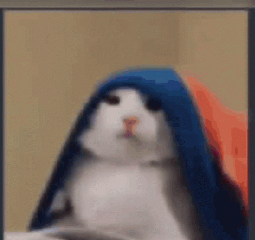Cat Cat Dumb Reaction GIF - Cat Cat Dumb Reaction Cat Under Blanket GIFs