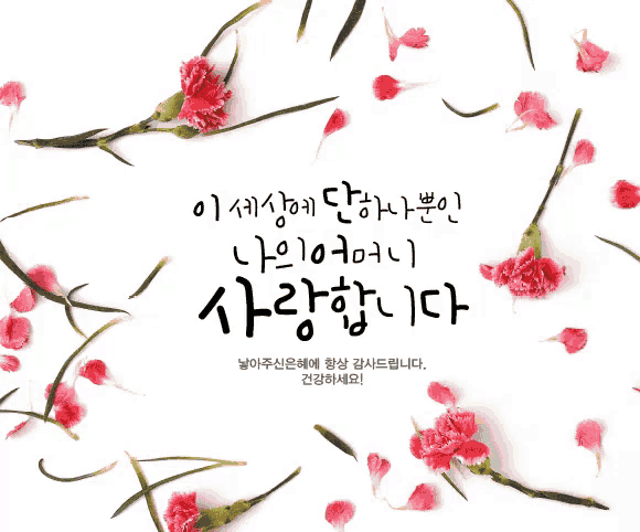 a greeting card in a foreign language surrounded by pink carnations
