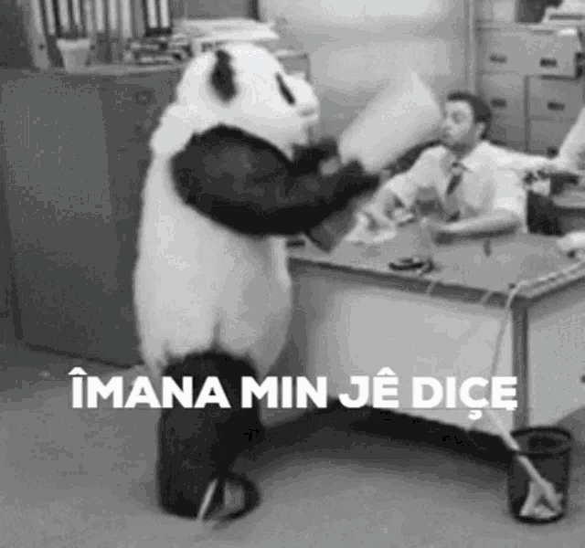 îmana Min Kurmancî GIF