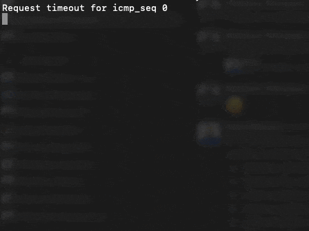 a black screen with white text that says request timeout for icmp_seq 0