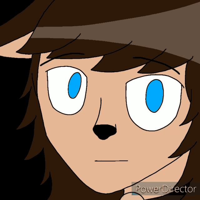 a close up of a person 's face with the words power director below
