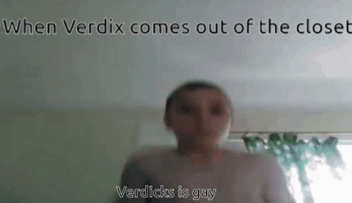 Verdix Discord GIF - Verdix Discord Funny GIFs