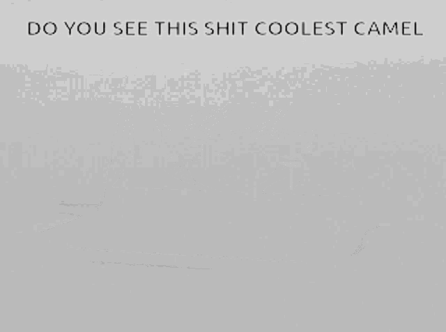 a laptop with a picture of a girl on the screen