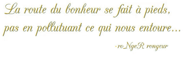 la route du bonheur se fait a pieds pas en pollutant ce qui nous entoure ...