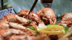 Cooking Food GIF - Cooking Food Shrimp GIFs