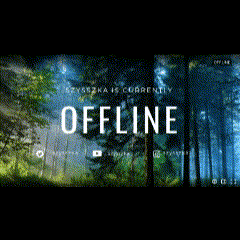 a screenshot of a video game that says offline