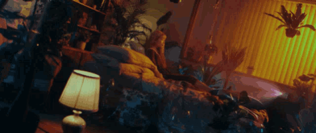 a room with a lamp and plants and a person laying on the couch