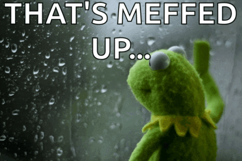 kermit the frog is looking out a window with the words that 's meffed up