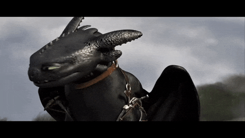 toothless from how to train your dragon is wearing a bridle and a collar .