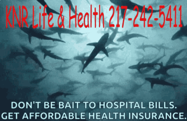 Health Insurance Aca GIF - Health Insurance Aca Afforable Care Act GIFs