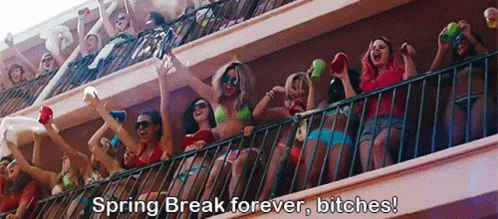 Spring Breakers Spring Break Forever Bitches GIF - Spring Breakers Spring Break Spring Break Forever Bitches GIFs