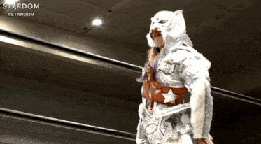 a wrestler wearing a white cat mask and a belt with the word stardom on it