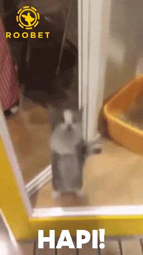 a cat standing in front of a door with the word hapi on the bottom right