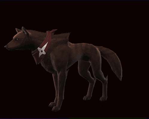 a brown wolf with a red collar is standing in a dark room