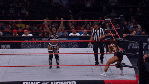 two women wrestling in a ring with a sign that says fight now