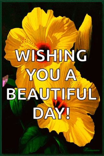 a picture of a yellow flower with the words wishing you a beautiful day