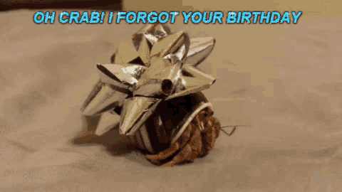 a hermit crab is wrapped in a bow with the words oh crab i forgot your birthday above it