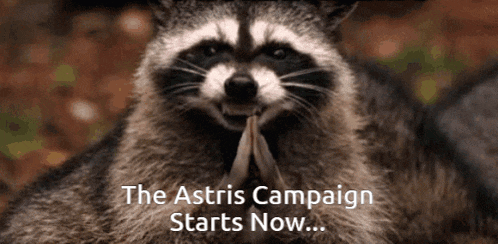 a raccoon with the words the asteris campaign starts now