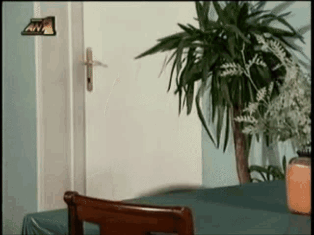 a room with a plant and a sign that says " a "