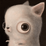 a close up of a chihuahua with big eyes looking at the camera