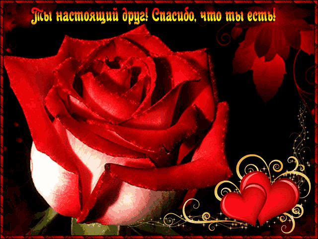 a greeting card with a red rose and two red hearts in russian