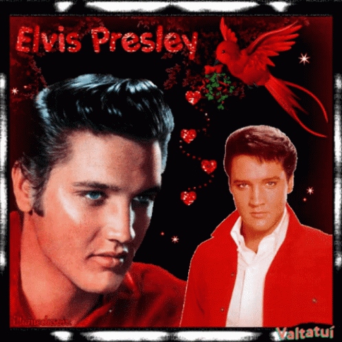 Elvis Valtatui Elvis Presley GIF - Elvis Valtatui Elvis Presley Handsome GIFs