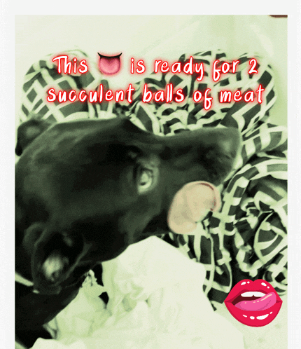 a picture of a dog with the words " this is ready for 2 succulent balls of meat " above it