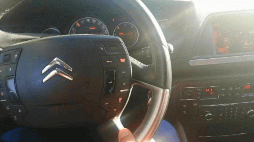 Citroen Driving GIF