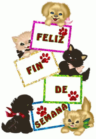 Fin De Semana Cats GIF - Fin De Semana Cats Dog GIFs