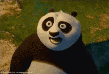 Kung Fu Panda Panda GIF - Kung Fu Panda Panda Po GIFs