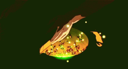 Luciérnaga GIF - Grave Of The Fireflies Wow Amazed GIFs