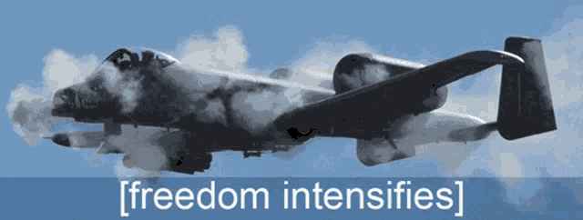 a picture of a fighter jet with the words freedom intensifies written below it