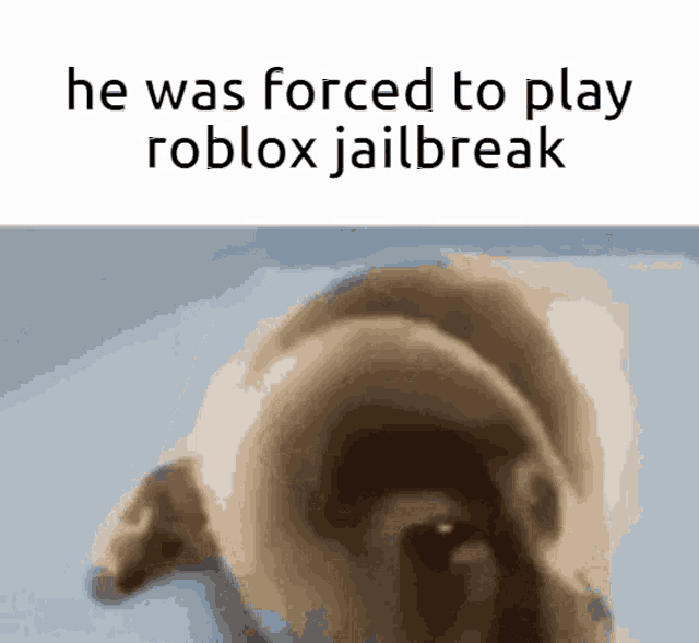 He Was Forced To Roblox GIF - He Was Forced To Roblox GIFs