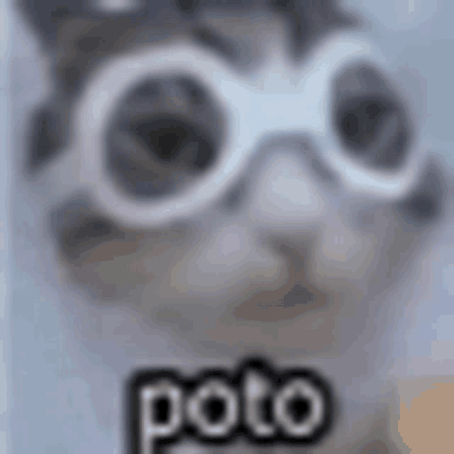 a close up of a cat wearing glasses and the word poto on it .