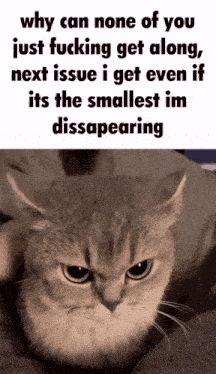 why can none of you just fucking get along next issue i get even if it 's the smallest im disapearing